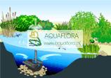 Aquarius Fountain Set 6000 - pompa wodna