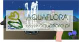Water Quintet - 