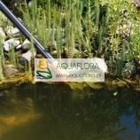 Odkurzacz do oczka wodnego SR 1600 - 