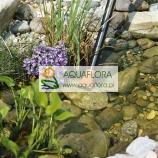 Odkurzacz do oczka wodnego SR 1600 - 