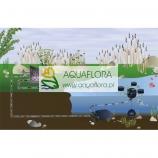 FIAP BioScreen Active (wersja ciśnieniowa) - 