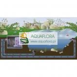 FIAP BioScreen Active (wersja grawitacyjna) - 