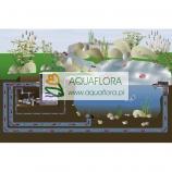 FIAP BioSieve Active (wersja ciśnieniowa) - 
