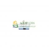 FIAP FountainBowl Active 60 okrąg - 