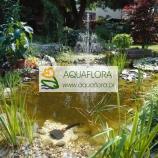 Zestaw fontannowy FP 750 E - 